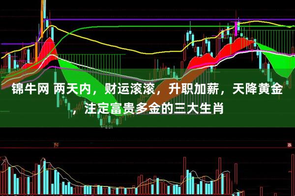 锦牛网 两天内，财运滚滚，升职加薪，天降黄金，注定富贵多金的三大生肖